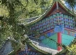 道光年間的環(huán)保碑文竟暗合現(xiàn)代法律？